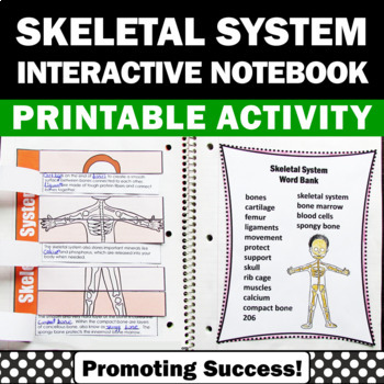 Preview of Skeletal System 5th Grade Science Interactive Notebook Human Body Activities Fun