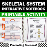 Skeletal System 5th Grade Science Interactive Notebook Hum