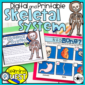Preview of Skeletal System Independent Work - Print & Digital Human Body Activities