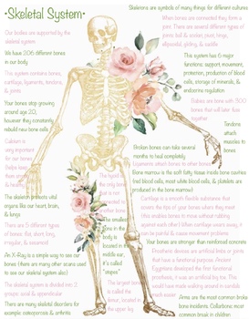 Preview of Skeletal System Information