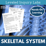 Skeletal System Inquiry Labs