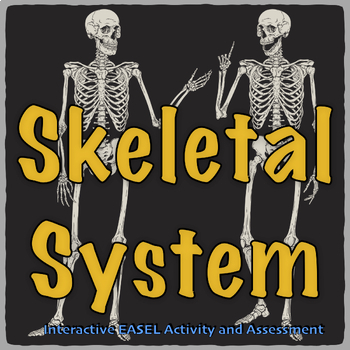 Preview of Skeletal System; Interactive Easel Activity and Assessment
