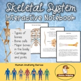 Skeletal System Interactive Notebook