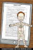 skeletal system activities human body systems activities 5th grade