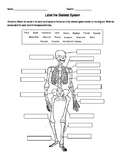 Skeletal System Labeling Worksheets & Teaching Resources | TpT