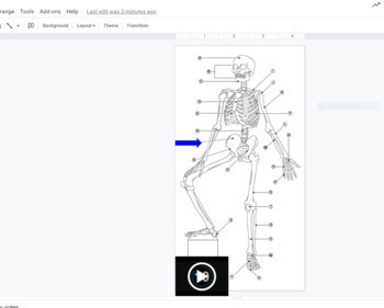 Preview of Skeletal System Labeling