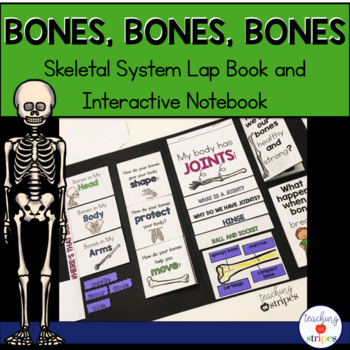 Preview of Skeletal System Lap Book and Interactive Notebook