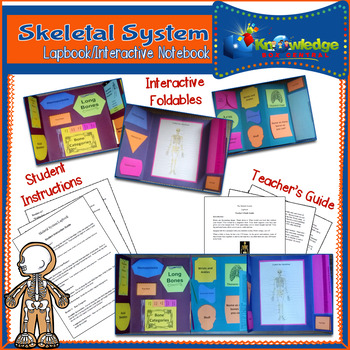 Preview of Skeletal System Lapbook/Interactive Notebook