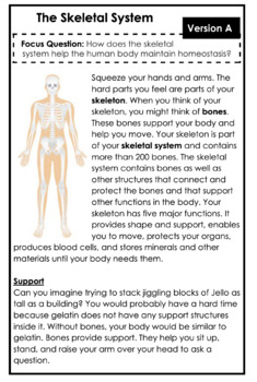Preview of Skeletal System Leveled Text Set Booklets