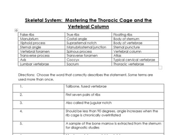 Skeletal System Mastering The Thoracic Cage And Vertebral Column Worksheet
