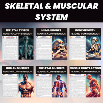 Preview of Skeletal System & Muscular System Unit | Human Biology