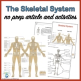 Skeletal System Nonfiction Article and Activities