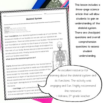Skeletal System Activity Worksheet by Samson's Shoppe | TpT