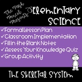 Skeletal System Complete Lesson Plan for Elementary Science