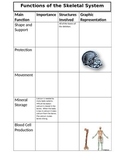 Skeletal System Notes/Sort