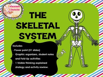 Preview of Skeletal System Pack: PowerPoint, Student Notes, Fold-Ups and Thinking routine