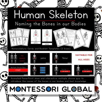 Preview of Skeletal System PowerPoint, Interactive Quiz, Nomenclature cards & Templates