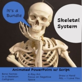Skeletal System PowerPoint Lesson Bundle with Activities and Quiz