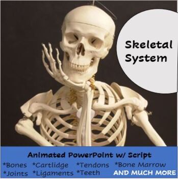 Preview of Skeletal System PowerPoint Lesson with Script-Engaging Animations and Facts