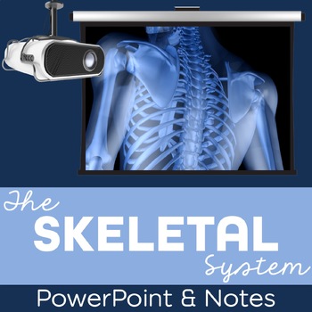 Preview of Skeletal System PowerPoint and Notes for Anatomy and Physiology