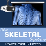 Skeletal System PowerPoint and Notes for Anatomy and Physiology