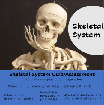 Preview of Skeletal System Quiz
