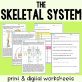 Skeletal System - Reading Comprehension Worksheets