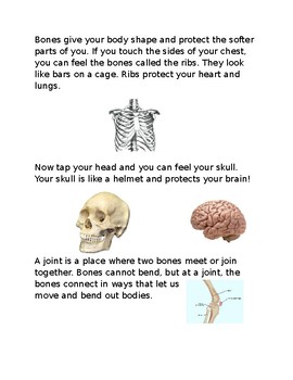 Preview of Skeletal System Reading and Questions with Pictures