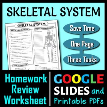 Preview of Skeletal System Review Worksheet / Test Prep | Print & Google Slides Options