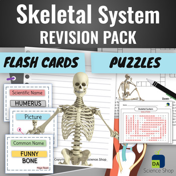 Preview of Skeletal System Revision (Skeleton) Flash Cards & Puzzles
