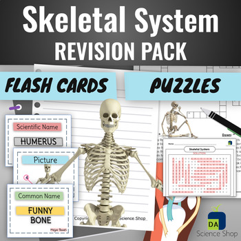 Flashcard: Skeletal System