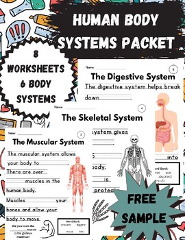 Skeletal System Sample *FREEBIE* Worksheet by Teach They Said | TPT