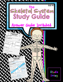 Preview of Skeletal System Study Guide