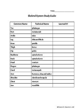 Preview of Skeletal System Study Guide: Bone Names