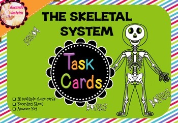 Preview of Skeletal System Task Cards