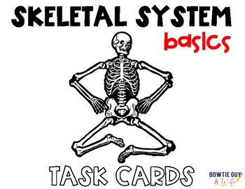 Preview of Skeletal System Task Cards (Basic Human Skeleton Vocabulary)