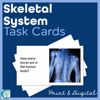 Preview of Skeletal System Task Cards - Anatomy and Physiology Activity