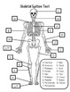 Skeletal System Test and Answer Key by Fantastic in 4th | TpT