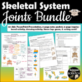 Skeletal System: Types of Joints Activity Bundle