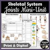 Joint Types and Movements Mini-Unit | Skeletal System | An