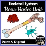 Skeletal System Unit 1: Bone Basics Unit