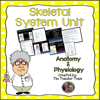 Preview of Skeletal System Unit | Anatomy and Physiology | Human Body Systems