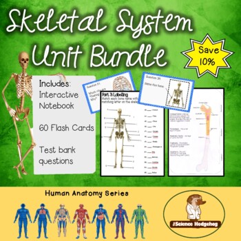 Preview of Skeletal System Unit Bundle