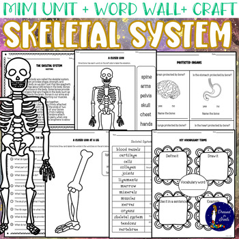 Preview of Skeletal System Unit with Word Wall and Craft