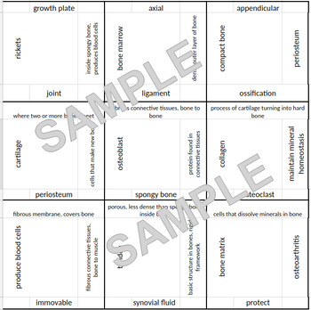 Preview of Skeletal System Vocab Puzzle