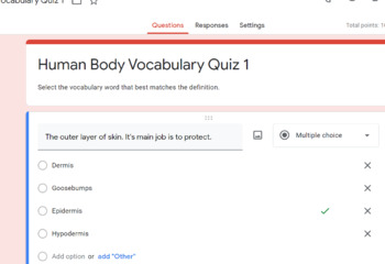 Preview of Skeletal System Vocabulary Quiz