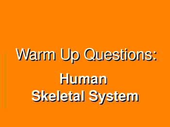 Preview of Skeletal System Warm-Up Power Point Presentation