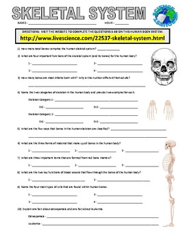 Preview of Skeletal System Webquest (Human Body / Science / Distance Learning / Sub)