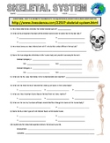 Skeletal System Webquest (Human Body / Science / Distance 