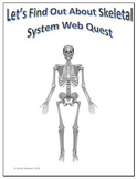 Skeletal System Webquest for Google Apps - Internet Activi